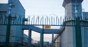 image 2026 04 03 22 59 12