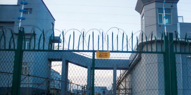 image 2026 04 03 22 59 12