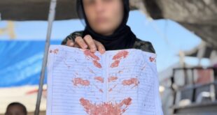 image 2026 04 10 18 52 53