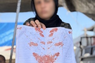 image 2026 04 10 18 52 53