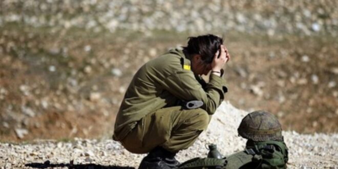 Screenshot Capture 2026 01 16 11 45 35 1000x600