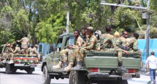 thumbs b c 8eb1b29a3273cd0c201066e45b69d040