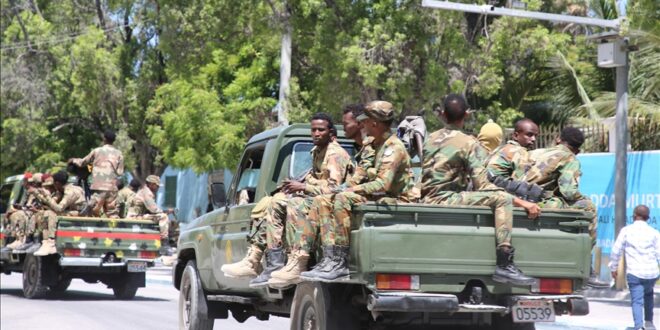 thumbs b c 8eb1b29a3273cd0c201066e45b69d040