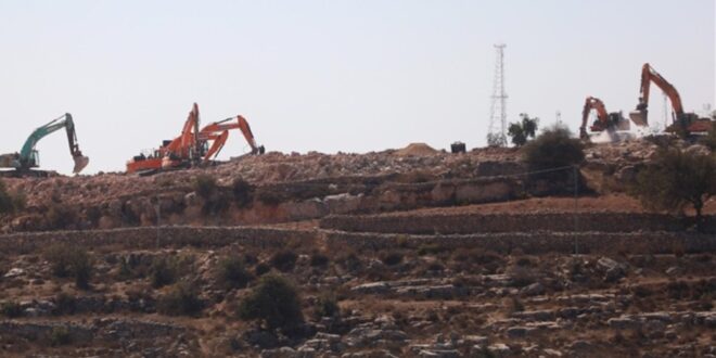 thumbs b c eff7822a04225c9bf70a68a1df6ef49f 1 1