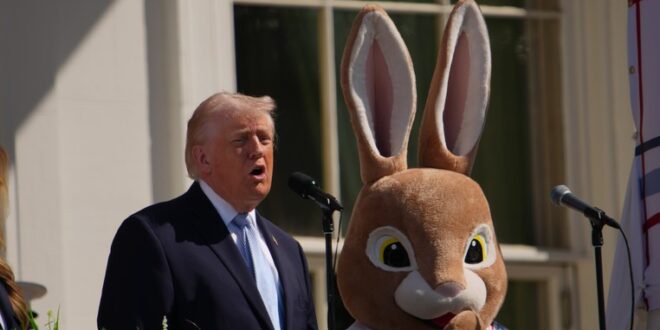 image 2026 04 06 23 21 10