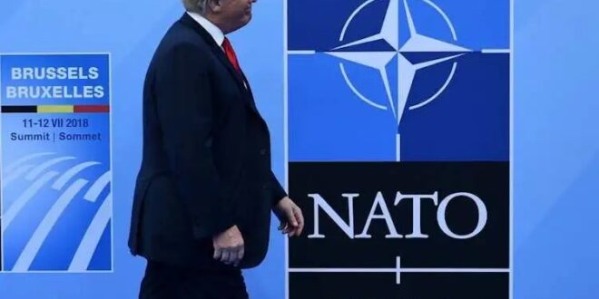 image 2026 04 01 21 21 29