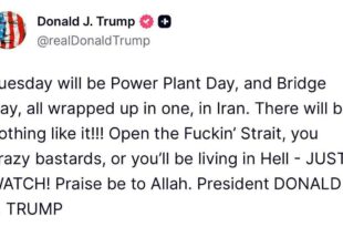 5949698112618171534 121 (0)