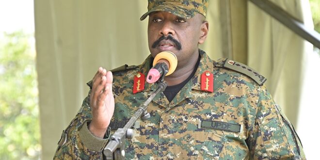 image 2026 04 11 17 33 07