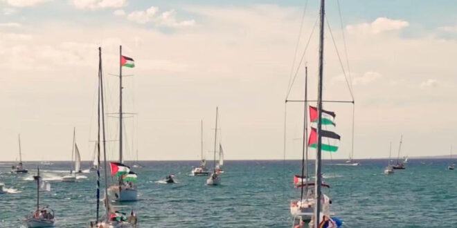 boats2