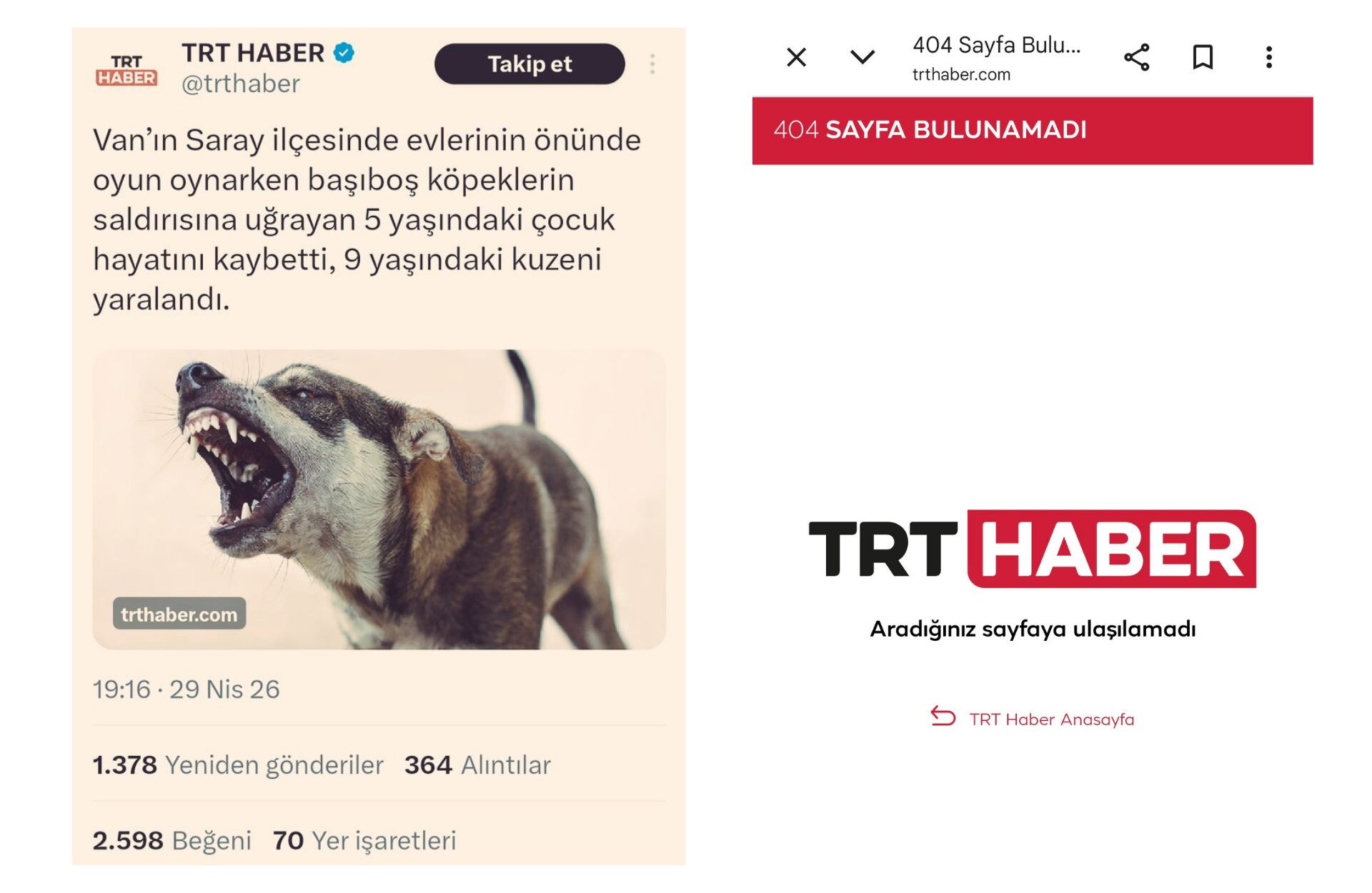 Adsız tasarım 20260501 205020 0000