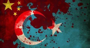 Doğu türkistan