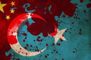 Doğu türkistan