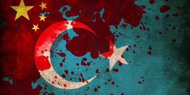 Doğu türkistan