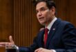 00dc rubio mktz mediumSquareAt3X