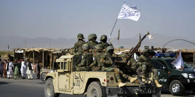 taliban pakistan