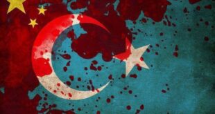 DOĞU TÜRKİSTAN