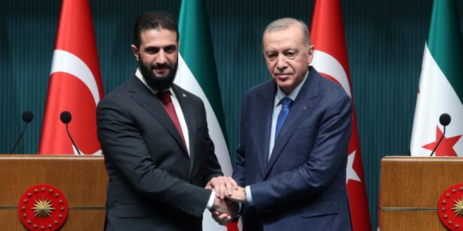 şara erdoğan