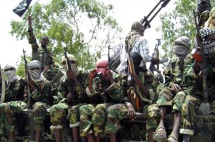AP al shabaab militants sk 140905 16x9 1600