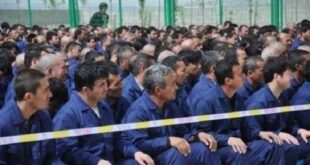 Doğu Türkistan Toplama Kampları