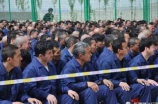 Doğu Türkistan Toplama Kampları