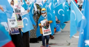 Doğu Türkistan Hollanda