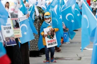 Doğu Türkistan Hollanda