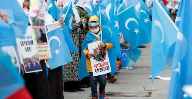Doğu Türkistan Hollanda