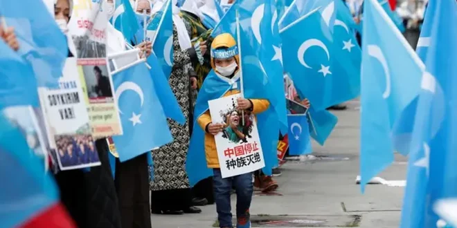Doğu Türkistan Hollanda