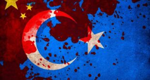 Doğu türkistan