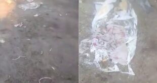 Ekran görüntüsü 2026 07 15 095621