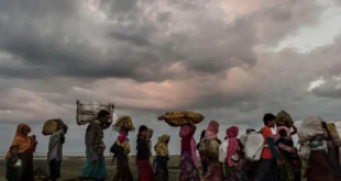 Rohingya displacement emergencies conflict 2017 UN0147314
