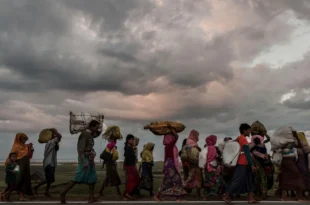 Rohingya displacement emergencies conflict 2017 UN0147314