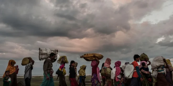 Rohingya displacement emergencies conflict 2017 UN0147314