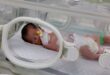 gaza rafah 6529372