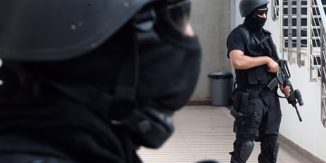 IŞİD operasyonundan sızan talimat: "Ülkenizde kalın, eylem yapın" — 1