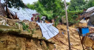 3303718