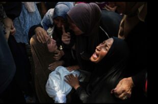 mira gaza children death