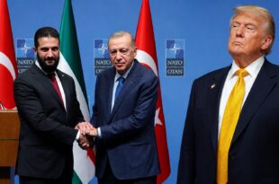 trump şara