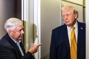 lindsey graham trump