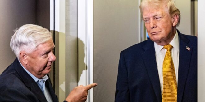 lindsey graham trump
