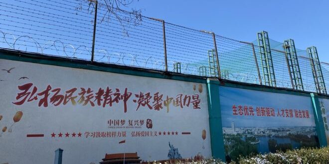 uyghur 1