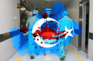 çin organ ticareti soykırımı