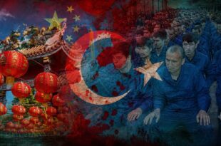 çin doğu Türkistan ankara