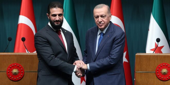 şara erdoğan