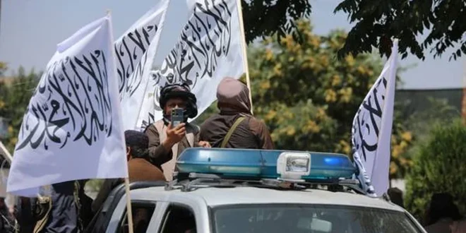 taliban abd