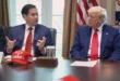 rubio trump