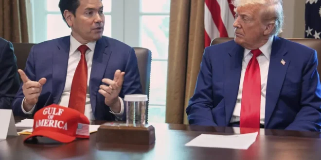 rubio trump
