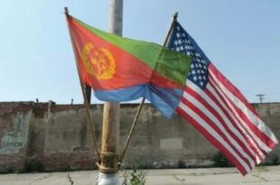 Eritrean American flags
