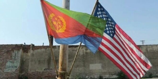 Eritrean American flags