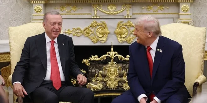 trump erdoğan